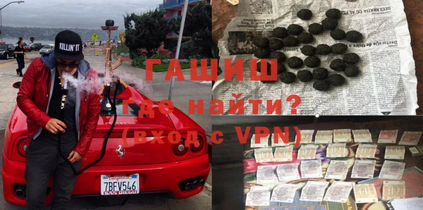 индика Кедровый